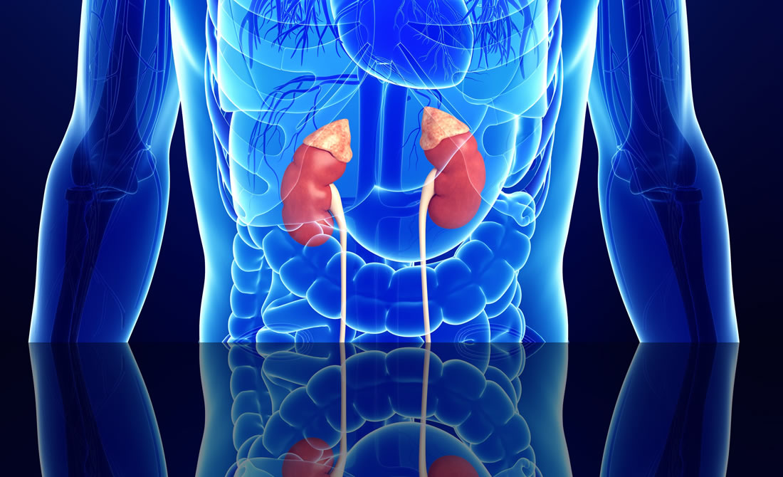 congenital adrenal hyperplasia